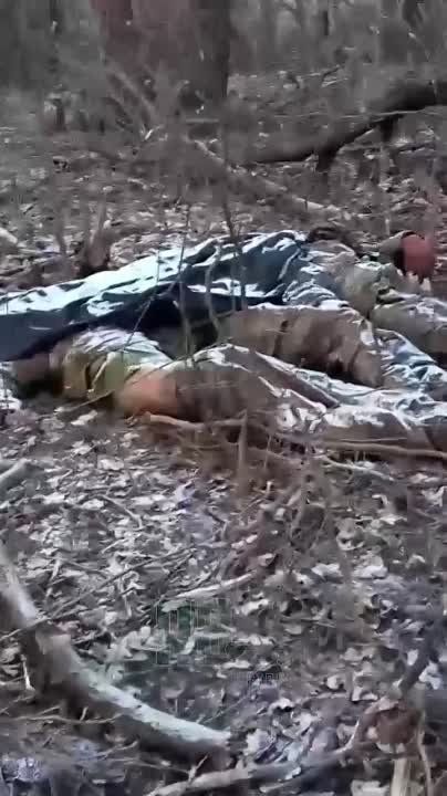 ��������� ���� � ��������� ������: ���������� ����������� "�������" ����� � ���� ���������� �������
