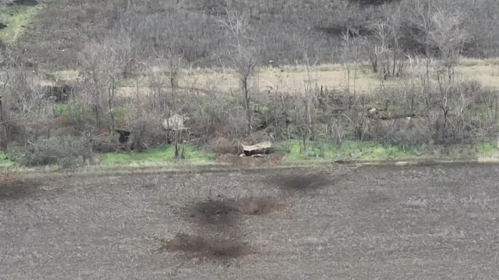 ������� ���������: 291-� ���� ������� ����� �� ����������� �����������