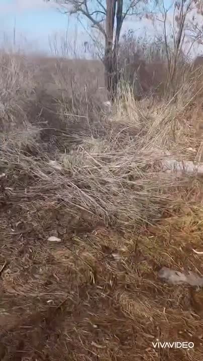 ������������ ������� �������������� ��� �� ������ �� �������