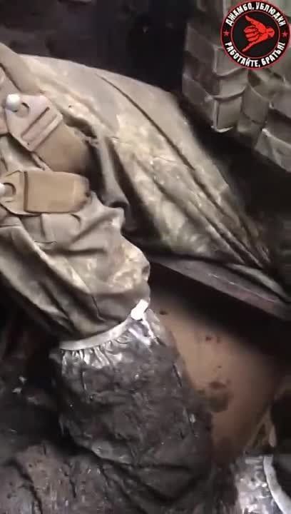 ������ ���������� �� �� �������� ���