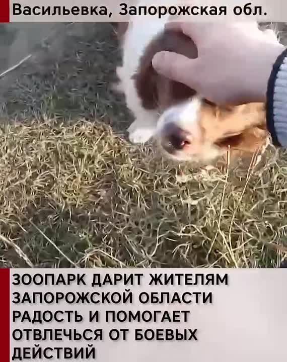 ������� � ��� ������� ��� �����