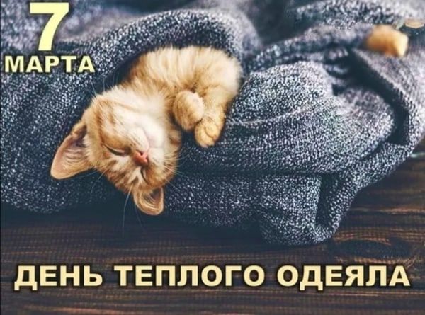 ������� 7 ����� 2023 ����, ������� � ���������� 8 ����������: