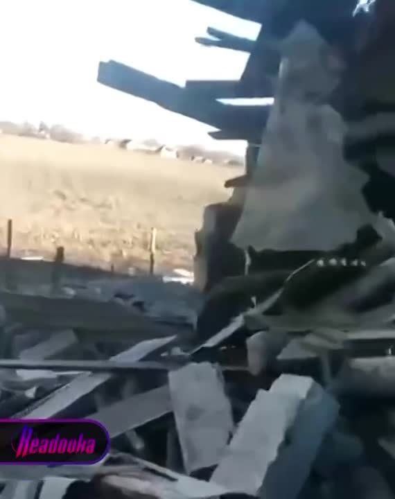 ��� �������� ���� ������� � ������� ����������� ������� � ���������� ��������� ������ �� ������ ������� �� ������� �������