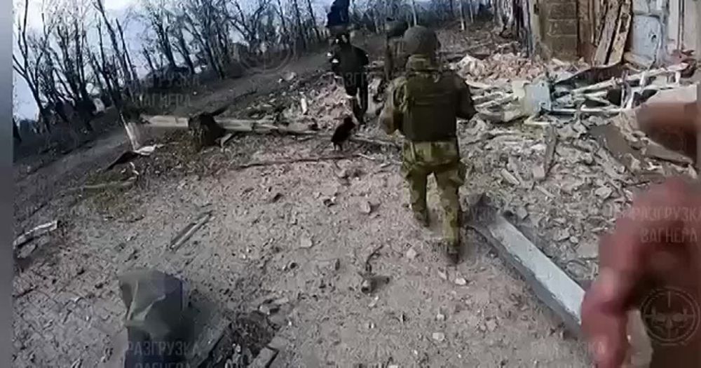����� �������� ���������� ������������ �������