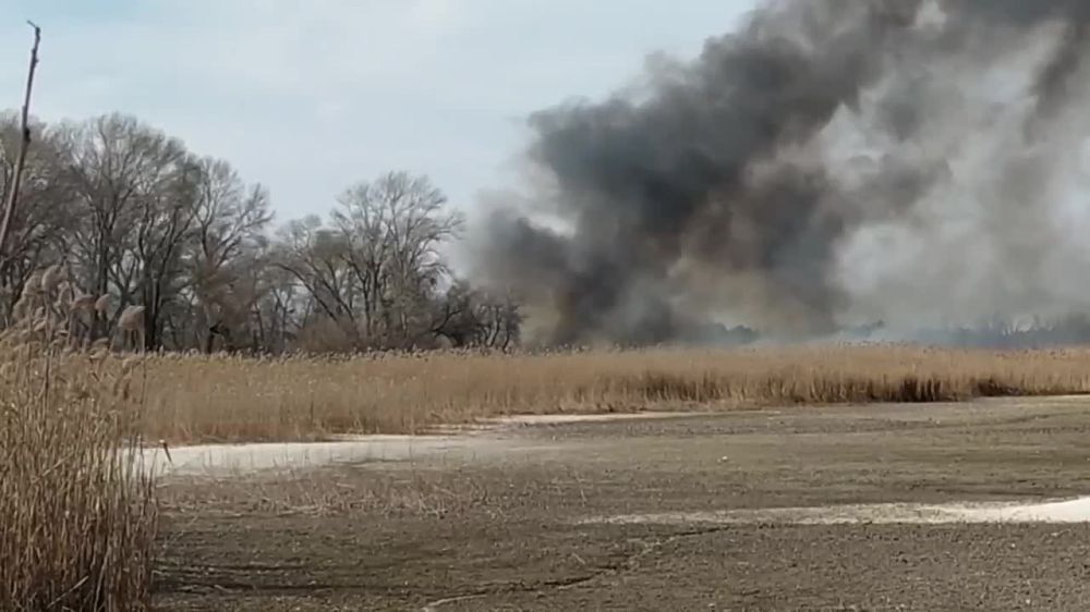 Юрий Котенок: Последствия атаки украинских БПЛА по Энергодару - били зажигательными боеприпасами по ЛЭП, питающей город