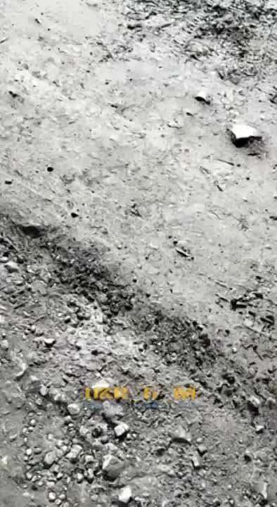 ��������� ���������� ��������� ������� � ��������� (������)