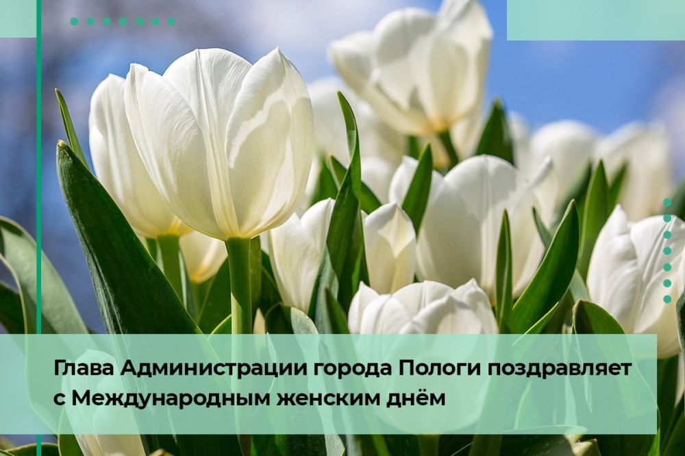 ����� ������������� ������ ������ ����� ������ ����������� ��������� � ������������� ������� ����