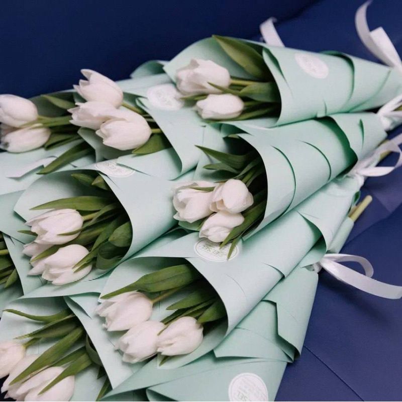 ������� ������: ������� �������, � ����������!