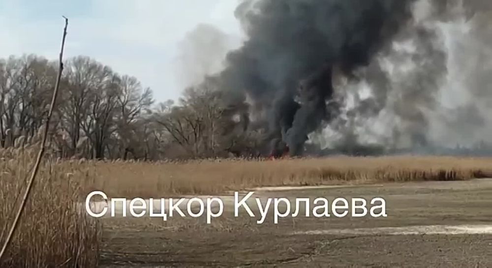 ����� ��������: ���������. ���������� ������� ������� ���� ������������ �� ��������� ����������. ���������������� � �����...