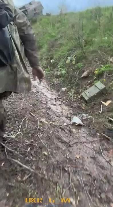 ���� ������� ������������� ���� �������� ������� �������