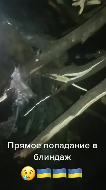 ������ ��������� � ������� ���