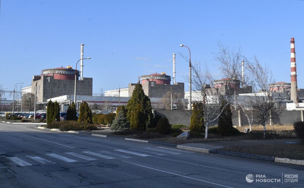 �������� � ���� �����������, ���������� � "��������������"