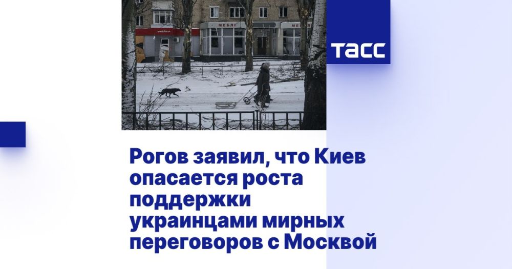 Владимир Рогов: Чего больше всего боится режим Зеленского?