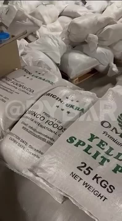 ����� �����: � ������������ ������ ������ ��������� ����� � ������ �� ������� �������� �������� ������������ ������ � ���������