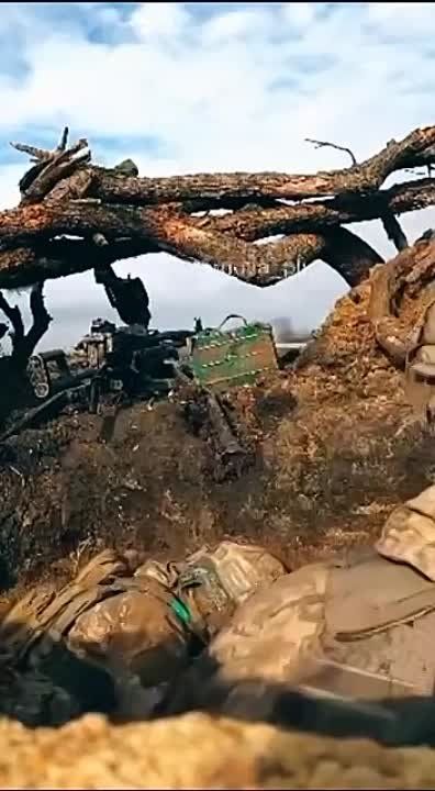 ������ ��� � ���� ��� ��������� ���� �������� �������� �������