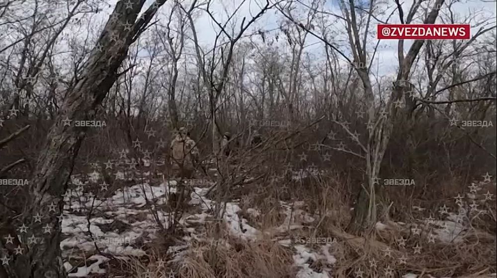�������� ������� ����������� ���������