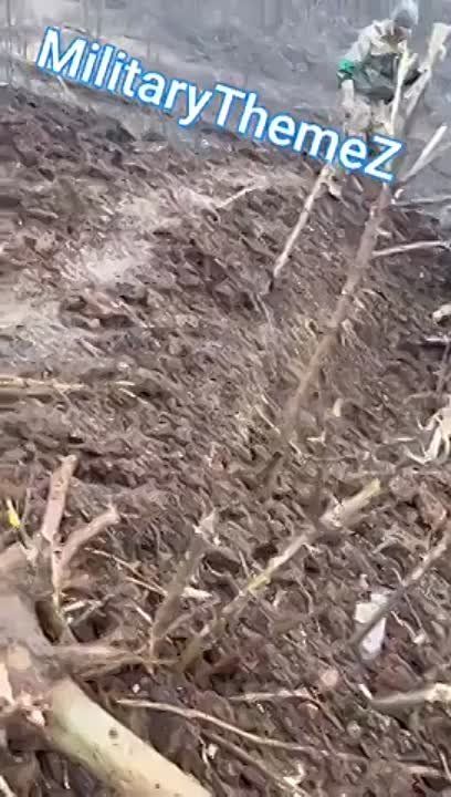 ������� ��������, ��� �������� ����� � ������, �� ��� �� ������� ���� ����������