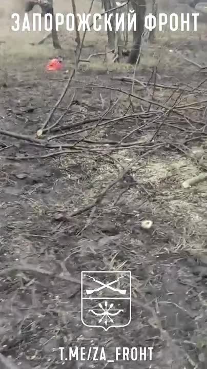 ���� ��� �� ������ ���������� � ���������� �������� �������