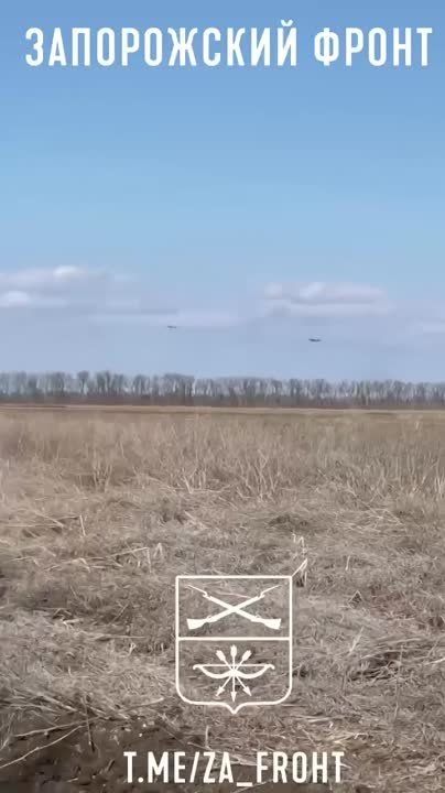 ������� �� �� �������� �� �������� ��� �� ����������� �����������