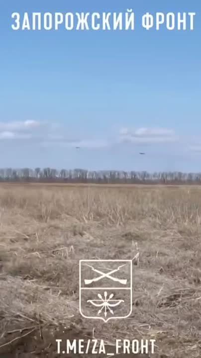 ������ ������� ��� �� �� �������� ���