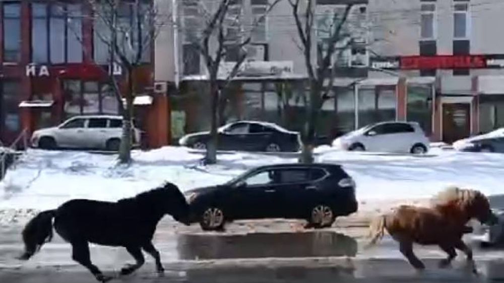 �� ������������ �� ������� ����� ����� �������� �������