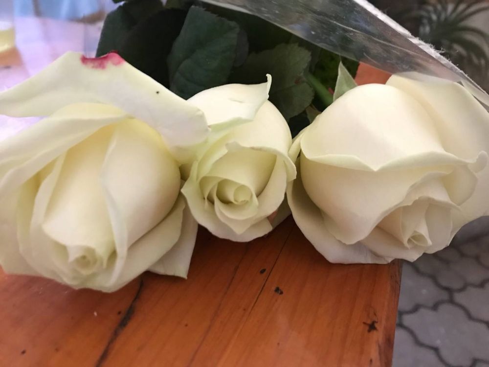 ������� ������ �� 15 �����