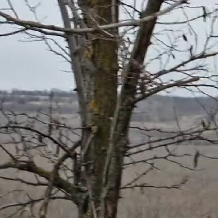"��� �� ��� ��������!" - ������� � ���������� 291-�� ����� �������� ����� ��� ��� ��������