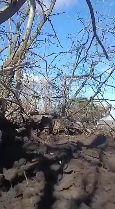 ������ ��������� ������ ���� � ���������� ���-4�