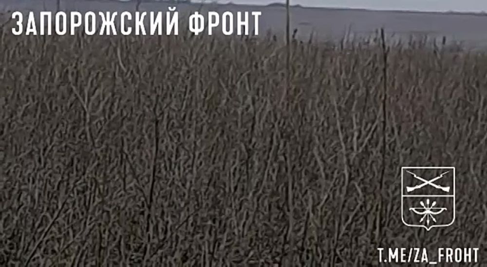���������� ������� ������ ����� ��� � ����������� �������