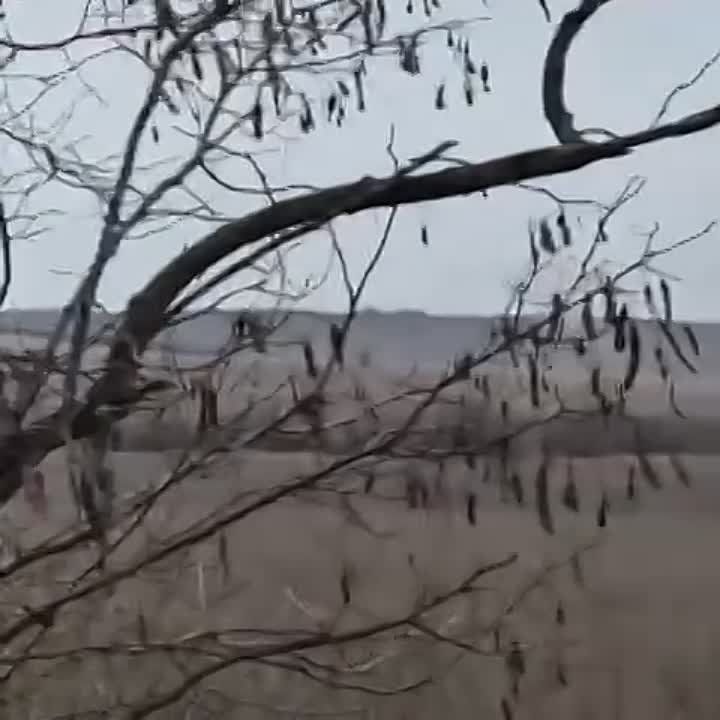 ��� ��������� ����� � ���������: �����������