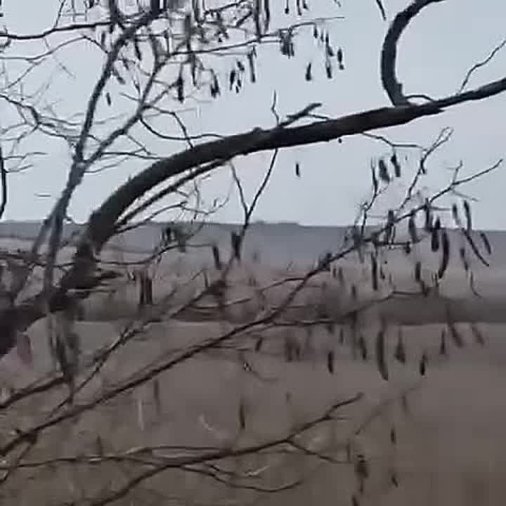 ����� ��� � ������ ��������� ������� ������� � ��������� � ����������� �������