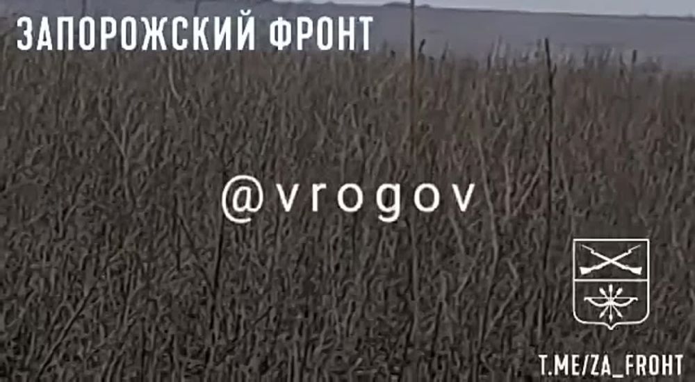 �������� �����: ����� ���������� ����������� �������� ��� ��� �������� �� ����������� �����������