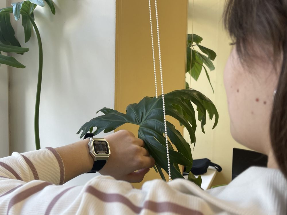 � ����������� ������� �� ��������������� ������ �������� ���������� �����