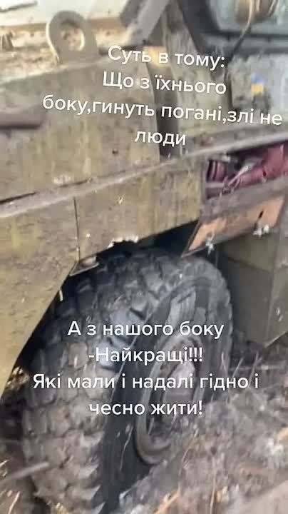 ������������ ��������������� Bushmaster PMV ��� ���-�� �� ������