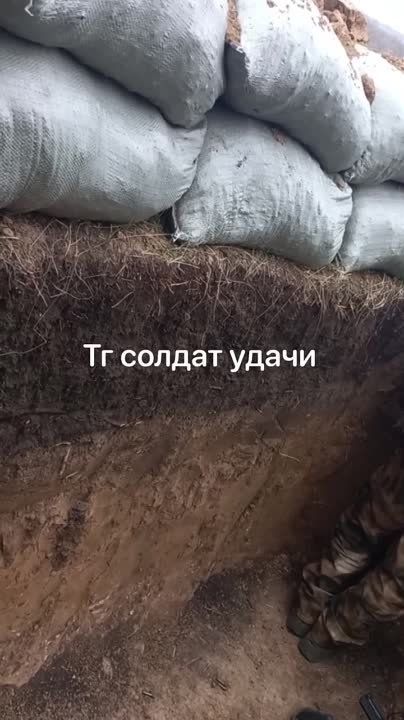 "�������, ������� ,� �����, � ���� �������� ������� ������, ������, ���� �� ������ ���.."