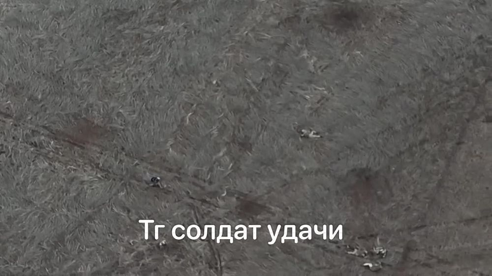 ����� � ������ ����������� ������ ������ ����������� ������� ������� ��� ����������� ������� �����������