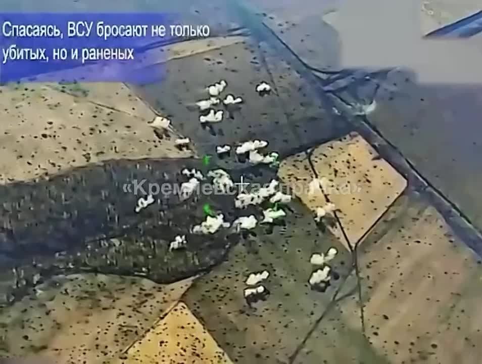 ��� ������� ���� ������� ��� �������� ����������