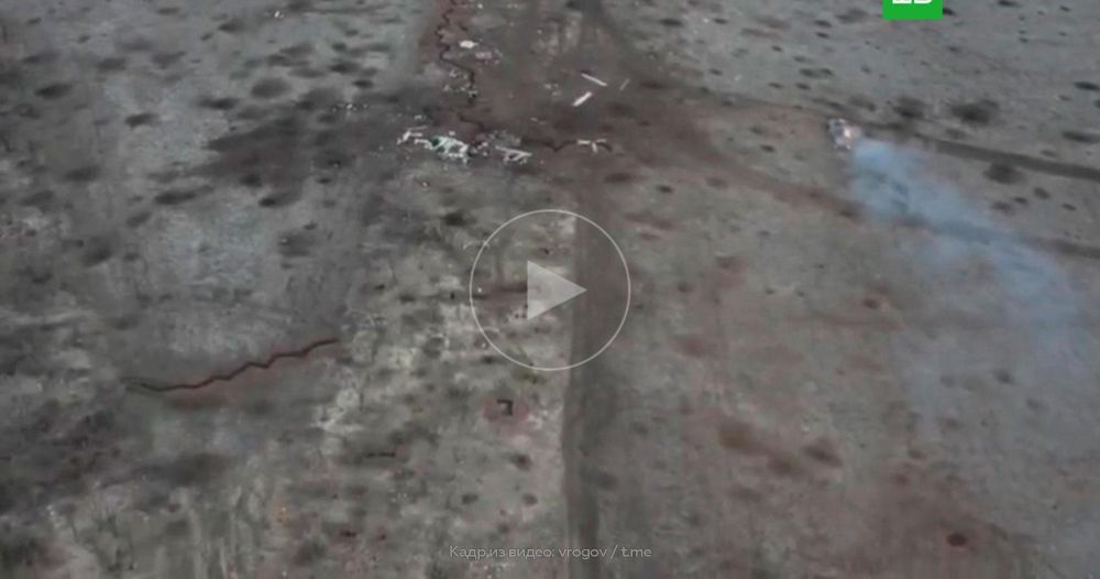 ������� ������������ � ������� ������: ����� �������� ����������� ��� � ����������� �������