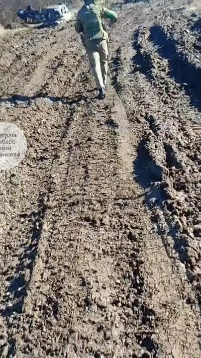 �������� ��������� ������ ����