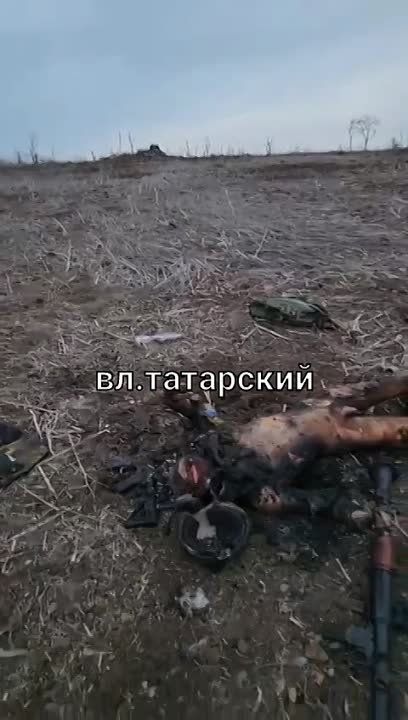 ������� ���������: ����������� ����� ������ 15 ����� �� ������� 291-�� �����