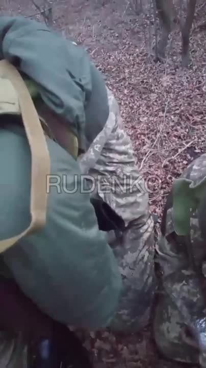 ����� �� ��������� �������� ���� �� ���������� �����������