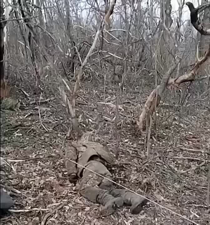 � ��� ���� ����� ��������� ���� ��� �� ������� ��������� �� ��� � ���� ���������� �������..