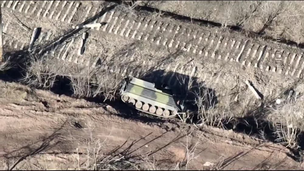 ��� ��������� ������� ��� M113G4DK (����������� ������������� �113)