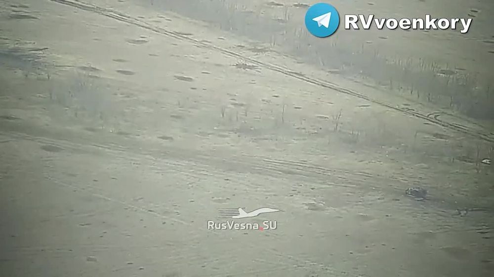 �������� ������ �����: �������� �������� ���� ������ ���� �� ����������� ������