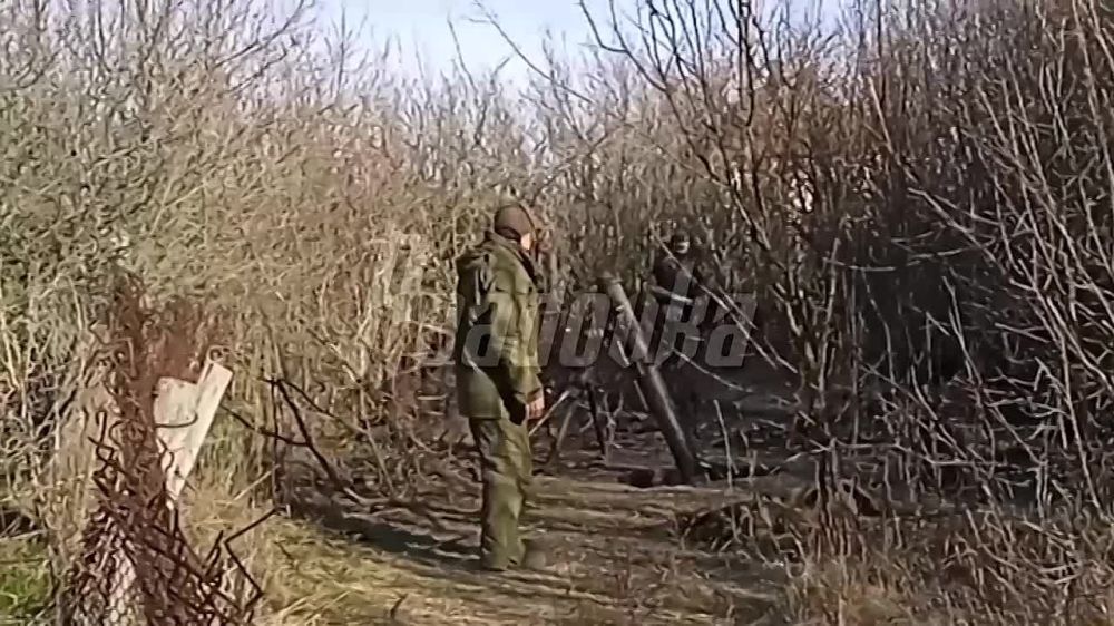 ���� ���, ���� �����, ���������, ��� ������ � ����������� ��������� ������ ����� ������ ���������� �� ���������� �� ����������� �����������