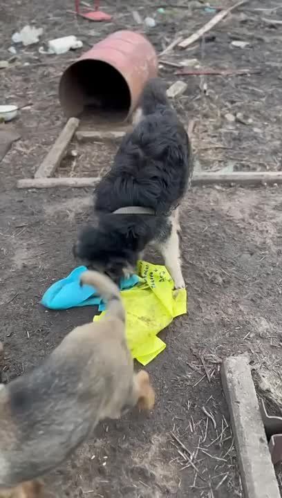 �� �������� ���� ������ ������ ����� ���������� ���� ������
