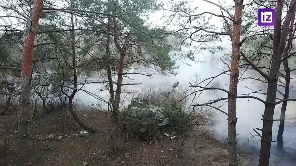 ������ ������ �������� ���������� �������������� ��������� "������" � ���� ���