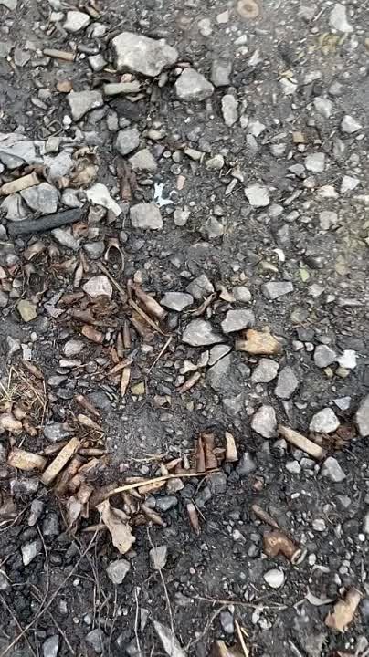 ����� �����: ������������ ���-2 ��� �� ����������� �����������