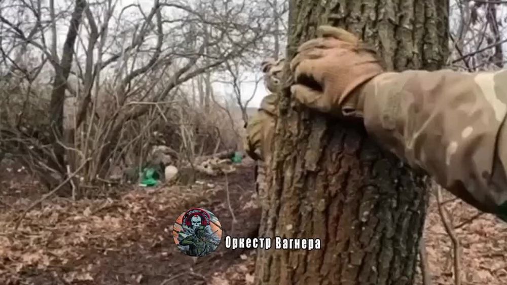 ������� ��� ��������� �� ������ �������� � �������