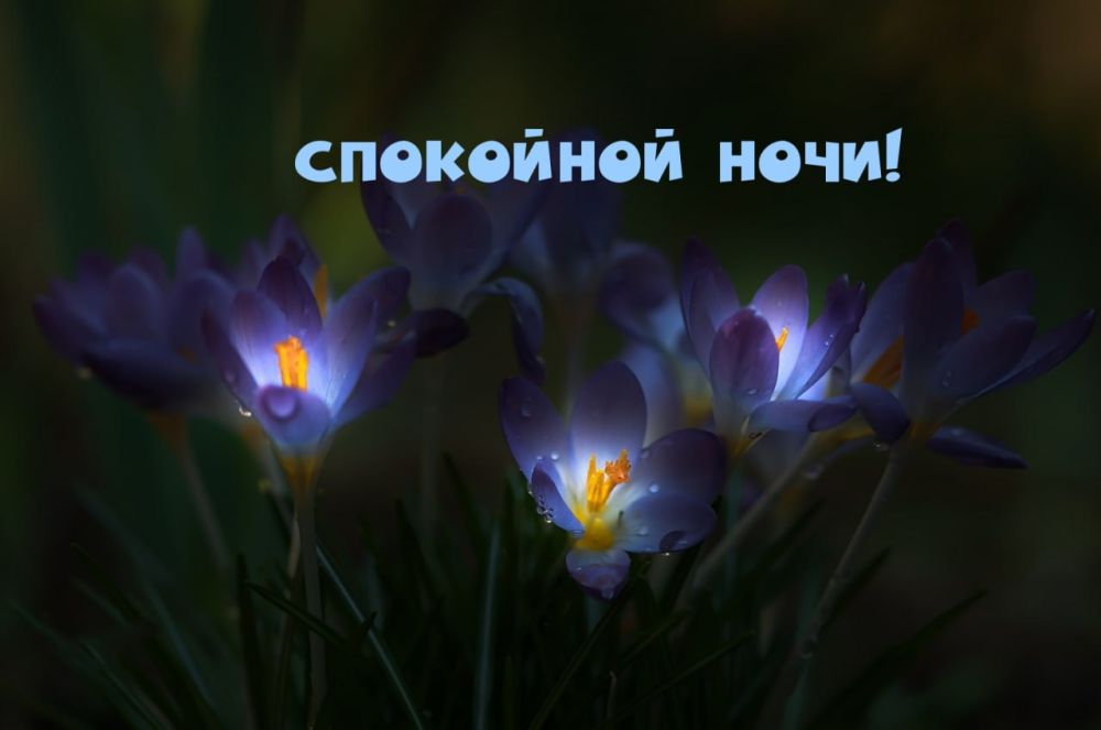 ������ ������, ��������������, ��������� ����, �������� ������ ����� ����������� ���! ����� ���� ������ ������ ��������, ��������� � ����� ���!